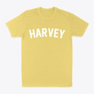 Harvey Iowa Classic Curve Classic Dad T-Shirt