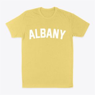 Albany Wyoming Classic Curve Classic Dad T-Shirt