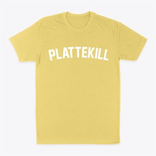 Plattekill New York Classic Curve Classic Dad T-Shirt