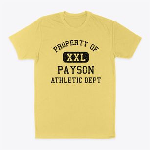 Payson Illinois Athletic Dept Classic Dad T-Shirt