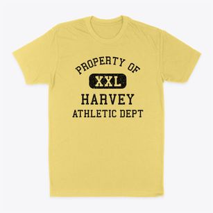 Harvey Illinois Athletic Dept Classic Dad T-Shirt