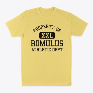 Romulus Michigan Athletic Dept Classic Dad T-Shirt