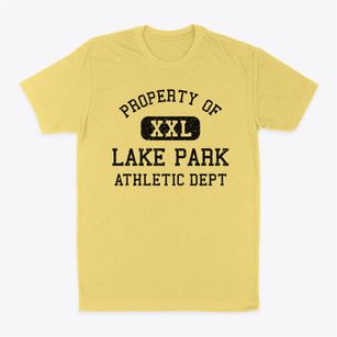 Lake Park Georgia Athletic Dept Classic Dad T-Shirt