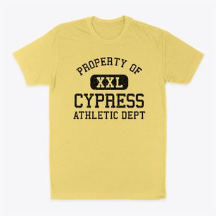 Cypress Illinois Athletic Dept Classic Dad T-Shirt
