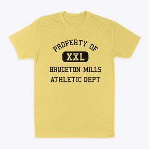 Bruceton Mills West Virginia Athletic Dept Classic Dad T-Shirt