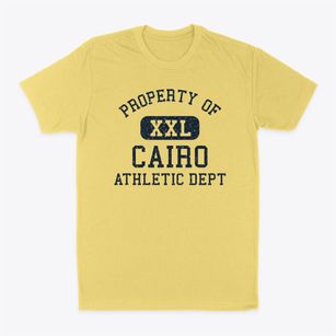 Cairo New York Athletic Dept Classic Dad T-Shirt