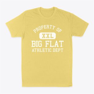Big Flat Arkansas Athletic Dept Classic Dad T-Shirt