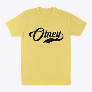 Olney Maryland Vintage Team Classic Dad T-Shirt