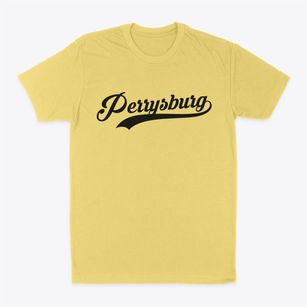 Perrysburg New York Vintage Team Classic Dad T-Shirt