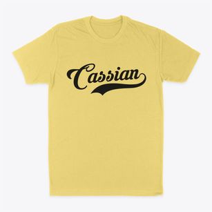 Cassian Wisconsin Vintage Team Classic Dad T-Shirt