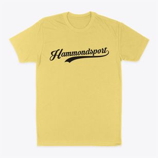 Hammondsport New York Vintage Team Classic Dad T-Shirt