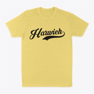 Harwich Massachusetts Vintage Team Classic Dad T-Shirt