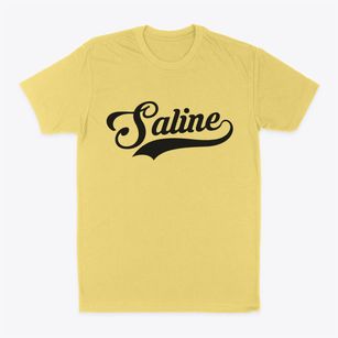 Saline Michigan Vintage Team Classic Dad T-Shirt