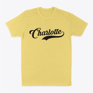 Charlotte Michigan Vintage Team Classic Dad T-Shirt