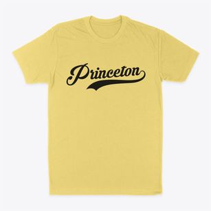 Princeton Indiana Vintage Team Classic Dad T-Shirt