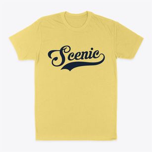 Scenic Arizona Vintage Team Classic Dad T-Shirt
