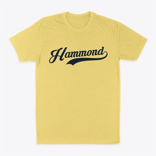 Hammond New York Vintage Team Classic Dad T-Shirt