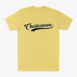 Charlestown Wisconsin Vintage Team Classic Dad T-Shirt