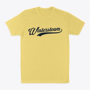 Winterstown Pennsylvania Vintage Team Classic Dad T-Shirt