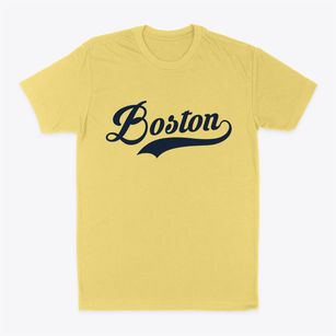 Boston Virginia Vintage Team Classic Dad T-Shirt