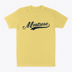 Montrose Mississippi Vintage Team Classic Dad T-Shirt
