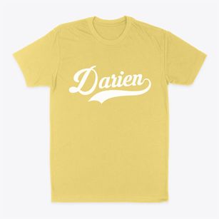 Darien Illinois Vintage Team Classic Dad T-Shirt