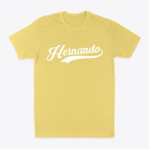 Hernando Mississippi Vintage Team Classic Dad T-Shirt