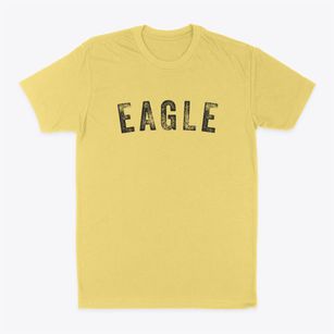 Eagle Colorado Timeless Retro Classic Dad T-Shirt