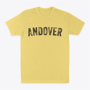Andover Massachusetts Timeless Retro Classic Dad T-Shirt
