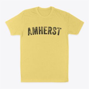 Amherst Wisconsin Timeless Retro Classic Dad T-Shirt
