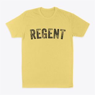 Regent North Dakota Timeless Retro Classic Dad T-Shirt
