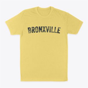 Bronxville New York Timeless Retro Classic Dad T-Shirt