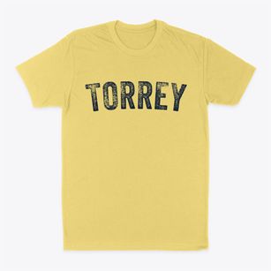 Torrey New York Timeless Retro Classic Dad T-Shirt