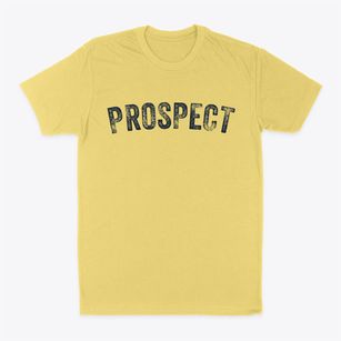 Prospect Pennsylvania Timeless Retro Classic Dad T-Shirt