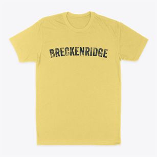 Breckenridge Missouri Timeless Retro Classic Dad T-Shirt