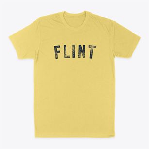 Flint Michigan Timeless Retro Classic Dad T-Shirt