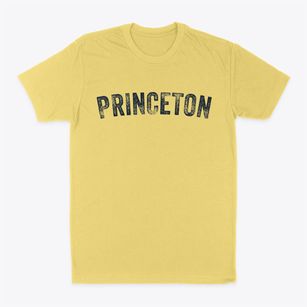 Princeton Indiana Timeless Retro Classic Dad T-Shirt