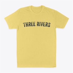 Three Rivers Michigan Timeless Retro Classic Dad T-Shirt