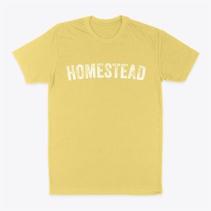 Homestead New Mexico Timeless Retro Classic Dad T-Shirt