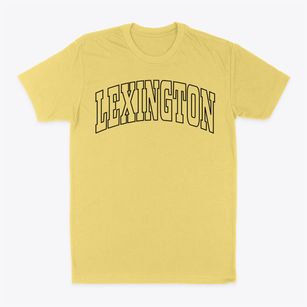 Lexington Ohio Trendy Block Classic Dad T-Shirt