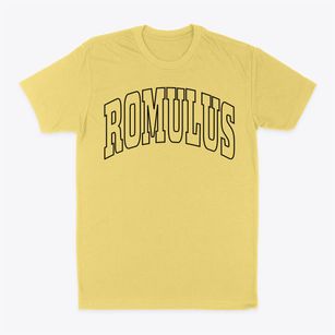 Romulus New York Trendy Block Classic Dad T-Shirt