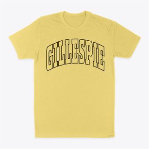 Gillespie Illinois Trendy Block Classic Dad T-Shirt