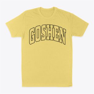 Goshen Utah Trendy Block Classic Dad T-Shirt