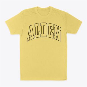 Alden Iowa Trendy Block Classic Dad T-Shirt