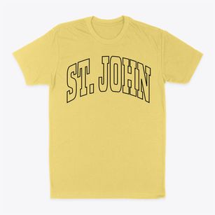 St. John Washington Trendy Block Classic Dad T-Shirt