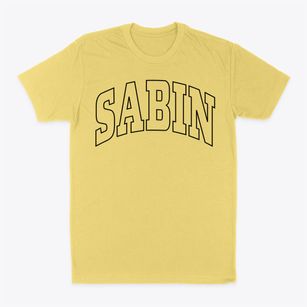 Sabin Minnesota Trendy Block Classic Dad T-Shirt