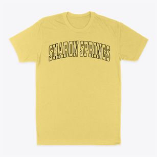 Sharon Springs New York Trendy Block Classic Dad T-Shirt