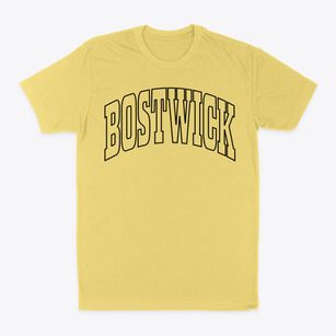 Bostwick Georgia Trendy Block Classic Dad T-Shirt