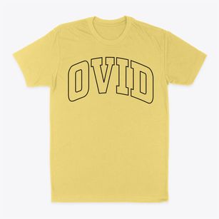 Ovid Colorado Trendy Block Classic Dad T-Shirt
