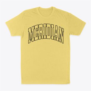Meridian Idaho Trendy Block Classic Dad T-Shirt